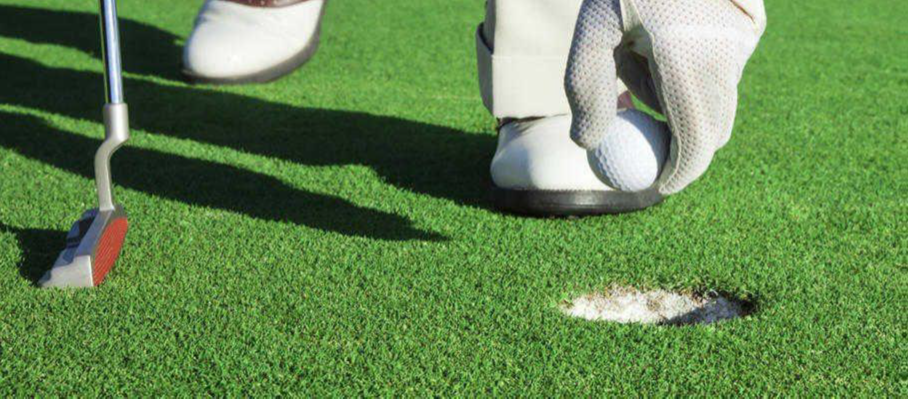 Luxury Pro Putt Artificial Grass