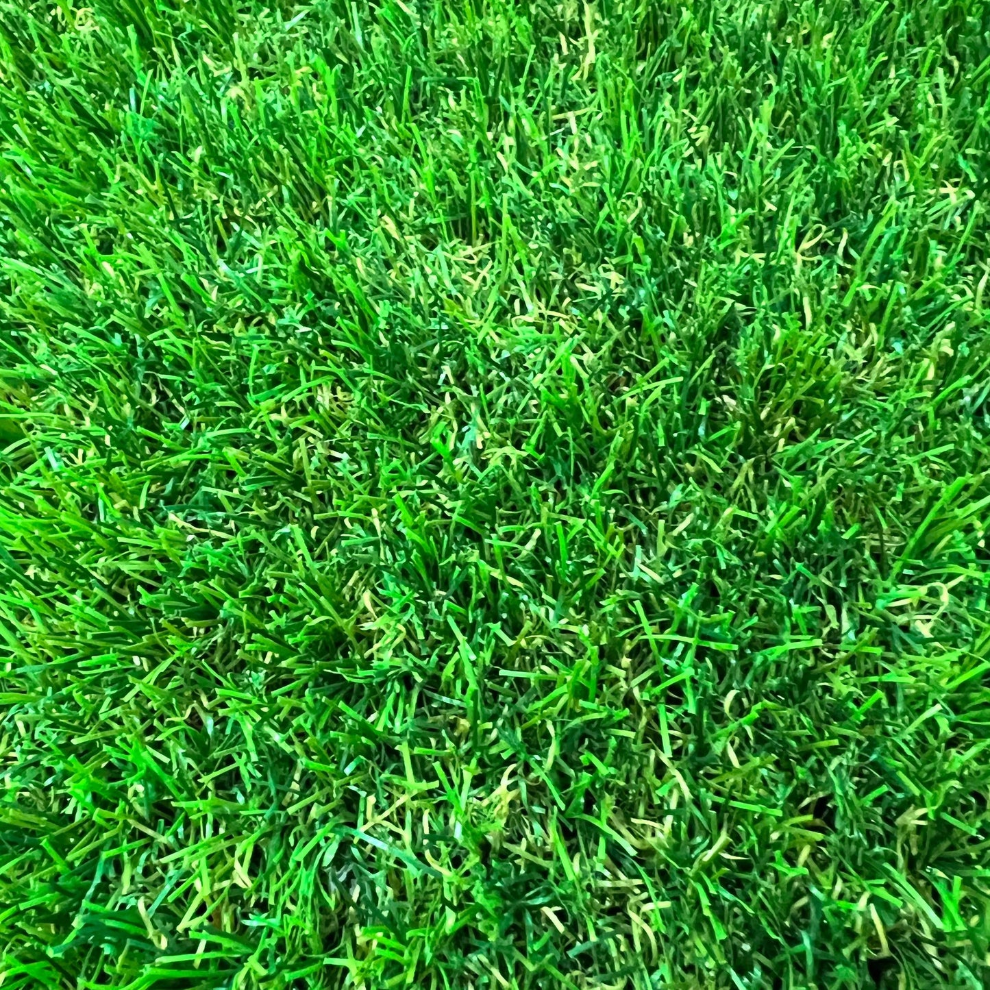 Luxury Canine 30 Artificial Grass