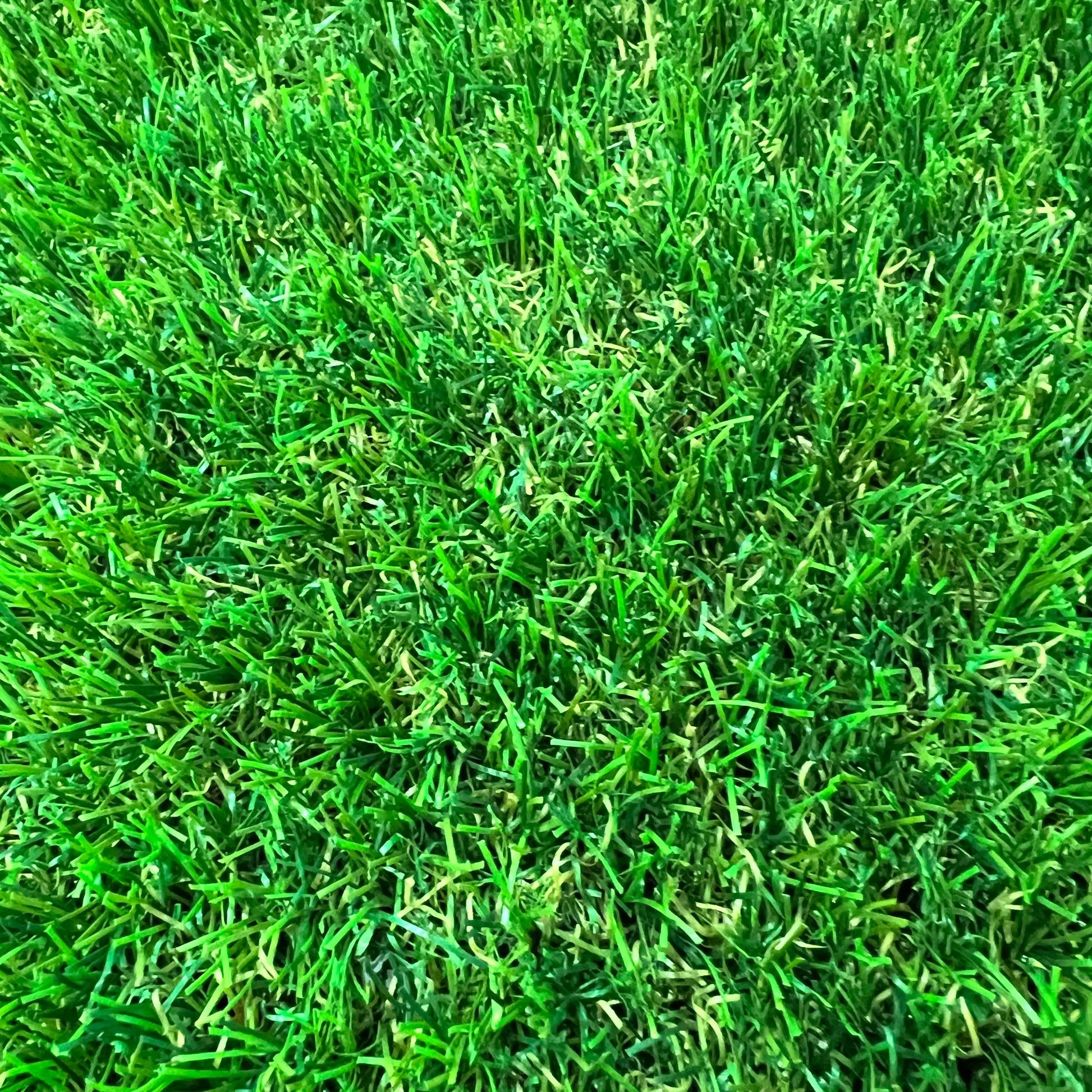 Luxury Canine 30 Artificial Grass