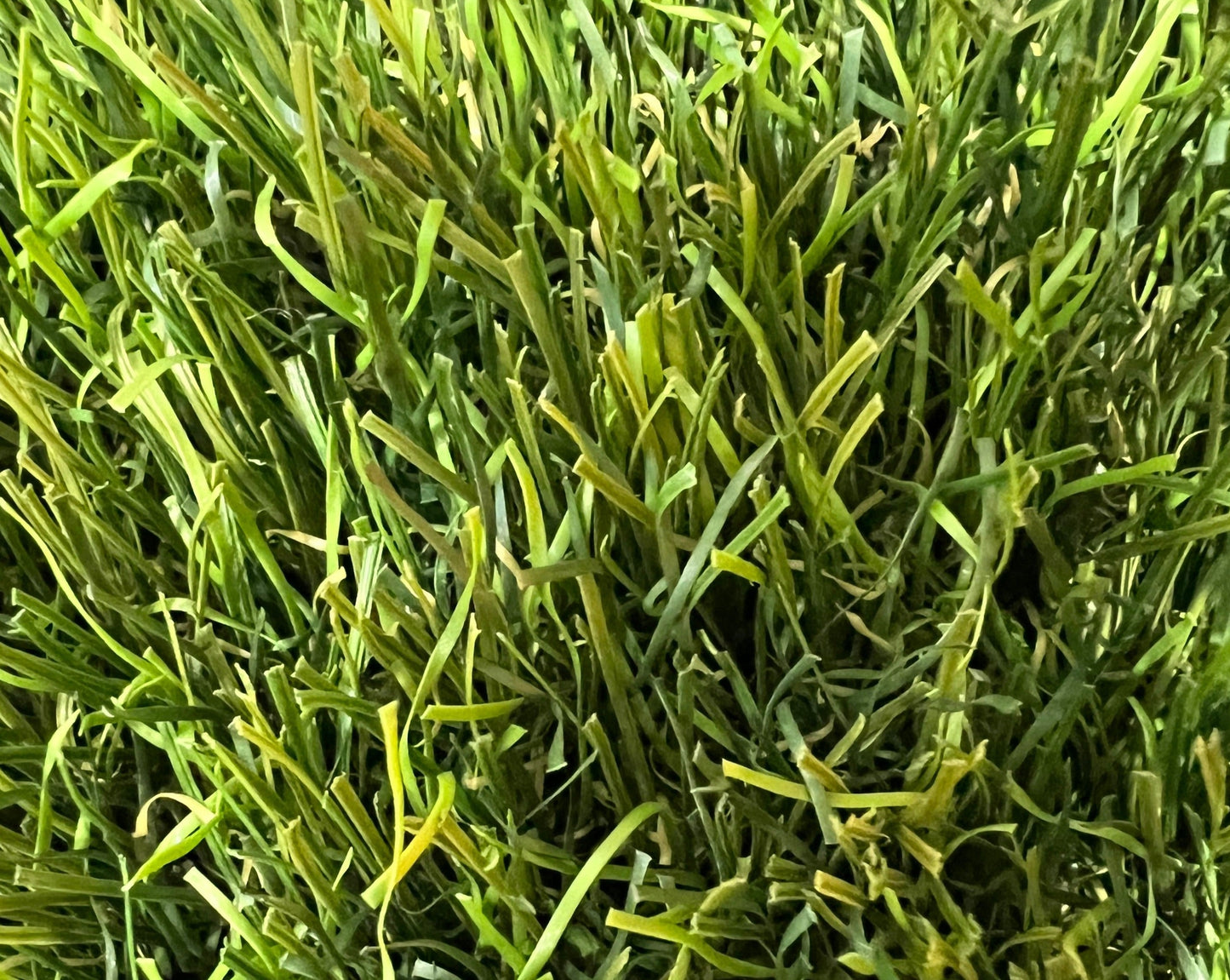 Luxury 40 Artificial Grass