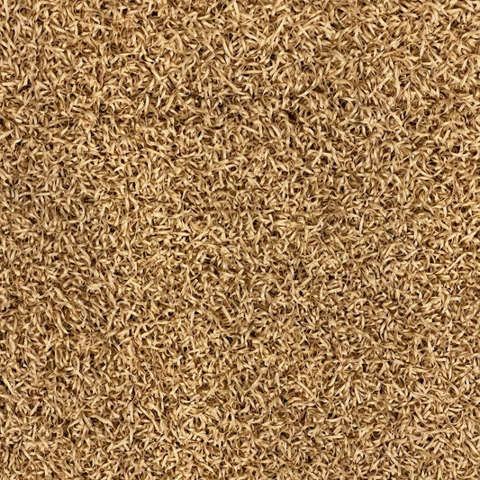 Beige Schools 10mm Artificial Grass