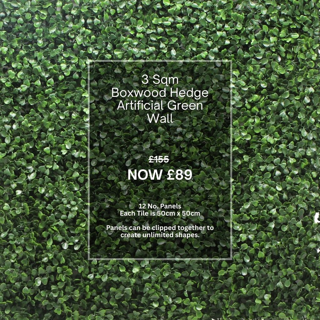 Box Hedge 3 Sqm