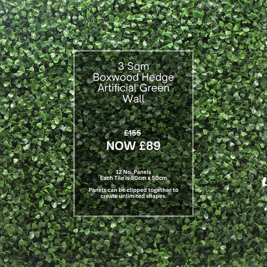 Box Hedge 3 Sqm
