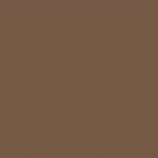 Pale_Brown_RAL8025