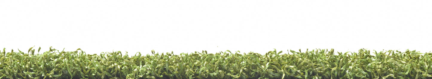 Luxury Green Coloured Schools Artificial Grass